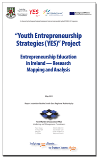 The report on entrepreneurship education mapping in Ireland